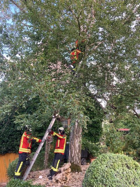 IMG-20210719-WA0007 groß.jpg